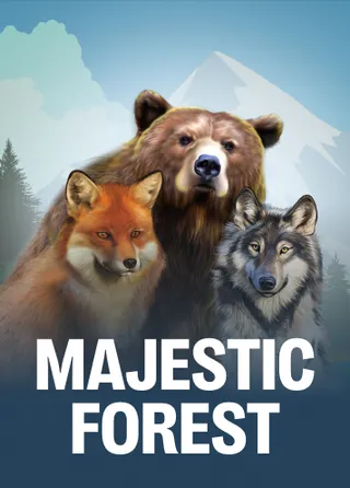 Majestic Forest