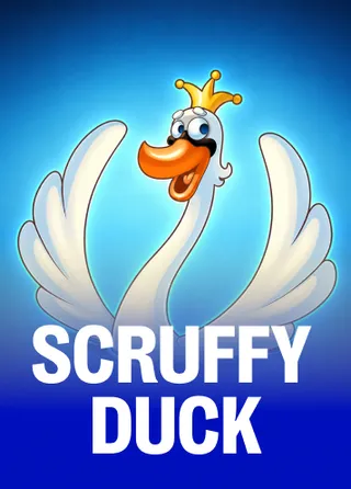 Scruffy Duck