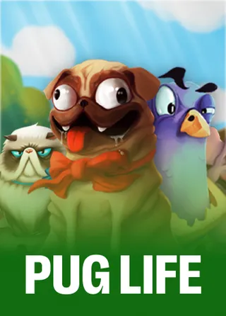 Pug Life