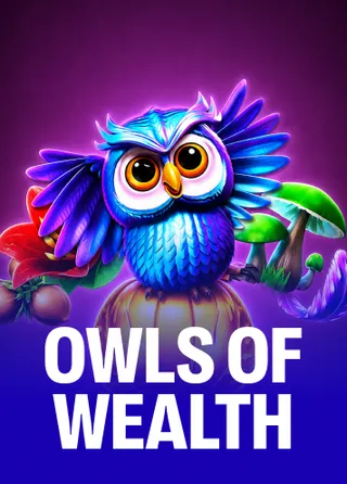 Owls of Wealth