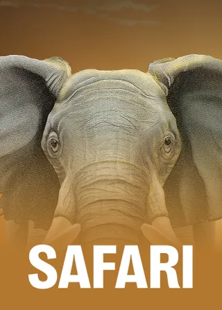 Safari