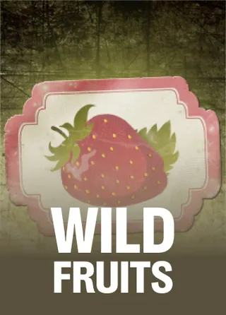 Wild Fruits